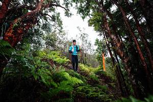 BIB: 
                            <button type="button" onclick="openModal(26201791)" class="btn btn-primary btn-sm float-right btn-popup" data-toggle="modal" data-target=".modal-high-quality">
                        <i class="fas fa-shopping-cart"></i> Add to Cart
                    </button>
                                            <button type="button" onclick="isThisMe(26201791, true)" class="btn btn-success btn-sm float-right btn-popup btn-isme hidden" data-toggle="tooltip" data-placement="bottom" title="นี่คือรูปของคุณใช่ไหม คลิกที่นี่เพื่อเอาเข้าอัลบั้ม">
                        <i class="fas fa-plus"></i> Add to album
                    </button>
                    <button type="button" onclick="isThisMe(26201791, false)" class="btn btn-warning btn-sm float-right btn-popup btn-isnotme hidden">
                        <i class="fas fa-ban"></i> Remove from album
                    </button>